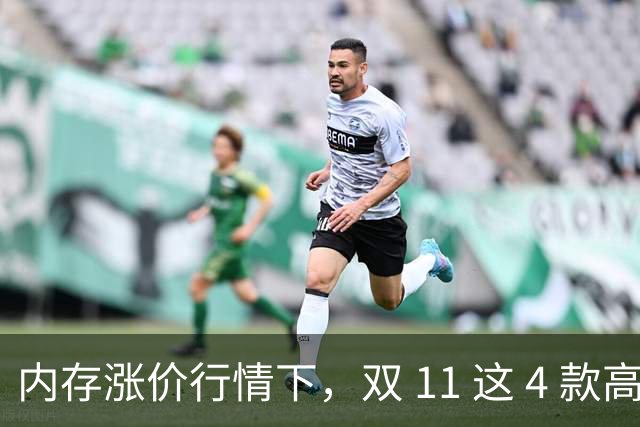 内存涨价行情下，双 11 这 4 款高配低价手机值得蹲，覆盖不同需求