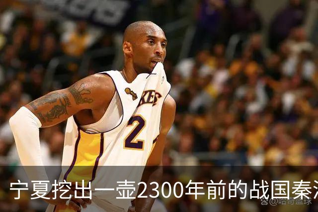 宁夏挖出一壶2300年前的战国秦酒，打开后还有3740毫升，检测结果让人服气
