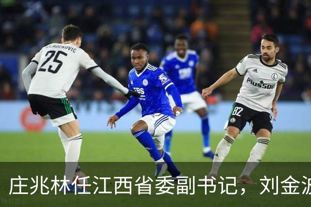 庄兆林任江西省委副书记，刘金波任省委常委、组织部部长