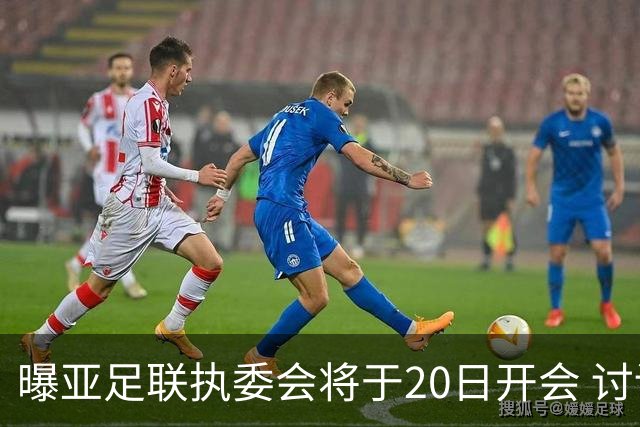 曝亚足联执委会将于20日开会 讨论亚洲杯延期事宜