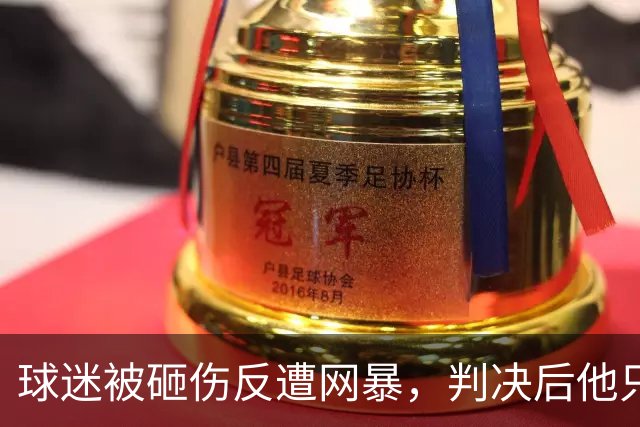 球迷被砸伤反遭网暴，判决后他只想要一个答案