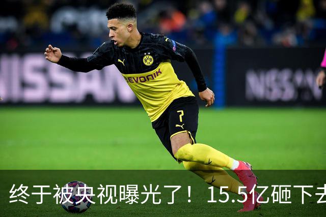 终于被央视曝光了！15.5亿砸下去的9000亩大棚，竟长满杂草！6年不种地，还领3700万补贴，检查来了插彩旗、人一走，立马就收走