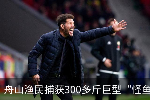 舟山渔民捕获300多斤巨型“怪鱼”，已放归大海，经辨认系翻车鱼，是已知世界上生殖力最强的脊椎动物；网友：以为是一块大石头